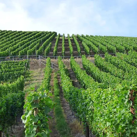 Relaxen Im Weindorf 4 *