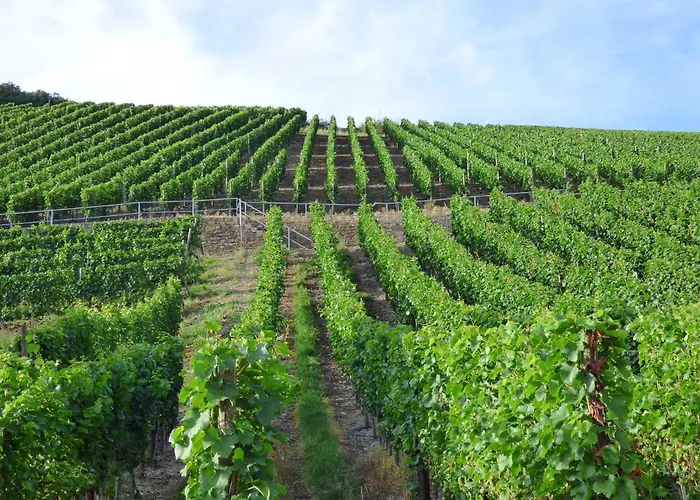 Relaxen Im Weindorf 4 *